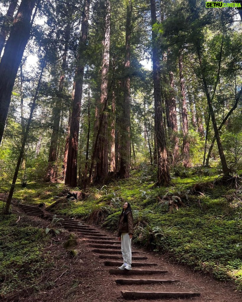 Krystal Jung Instagram - the forest has ears🌳👂🏻