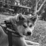 Kubilay Aka Instagram - 🖤