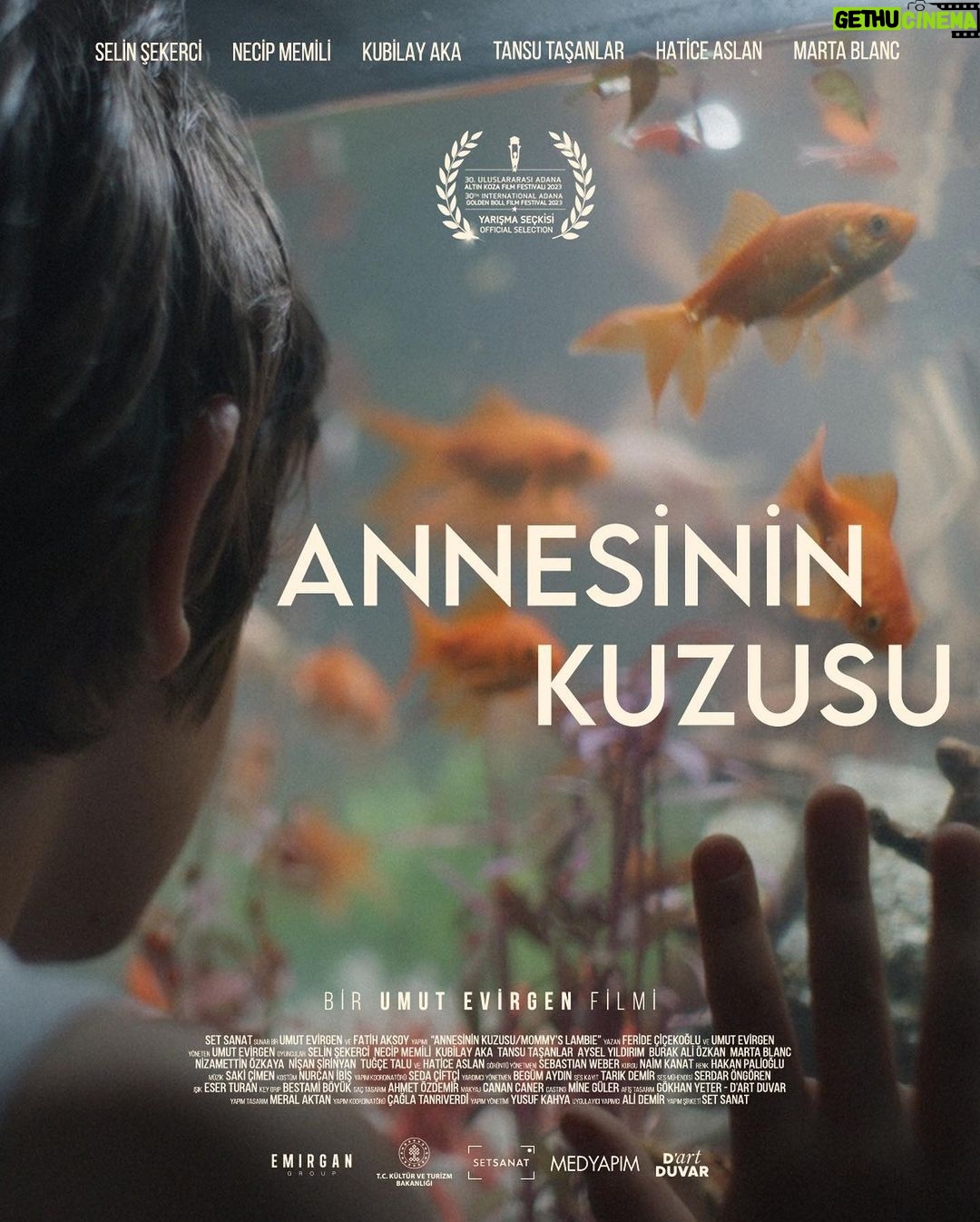 Kubilay Aka Instagram - Annesinin Kuzusu açılışını Adana Altın Koza Film Festivaliyle yapıyor. 🎈 Hayırlı olsun tüm ekibimize 🙏🏽🍀