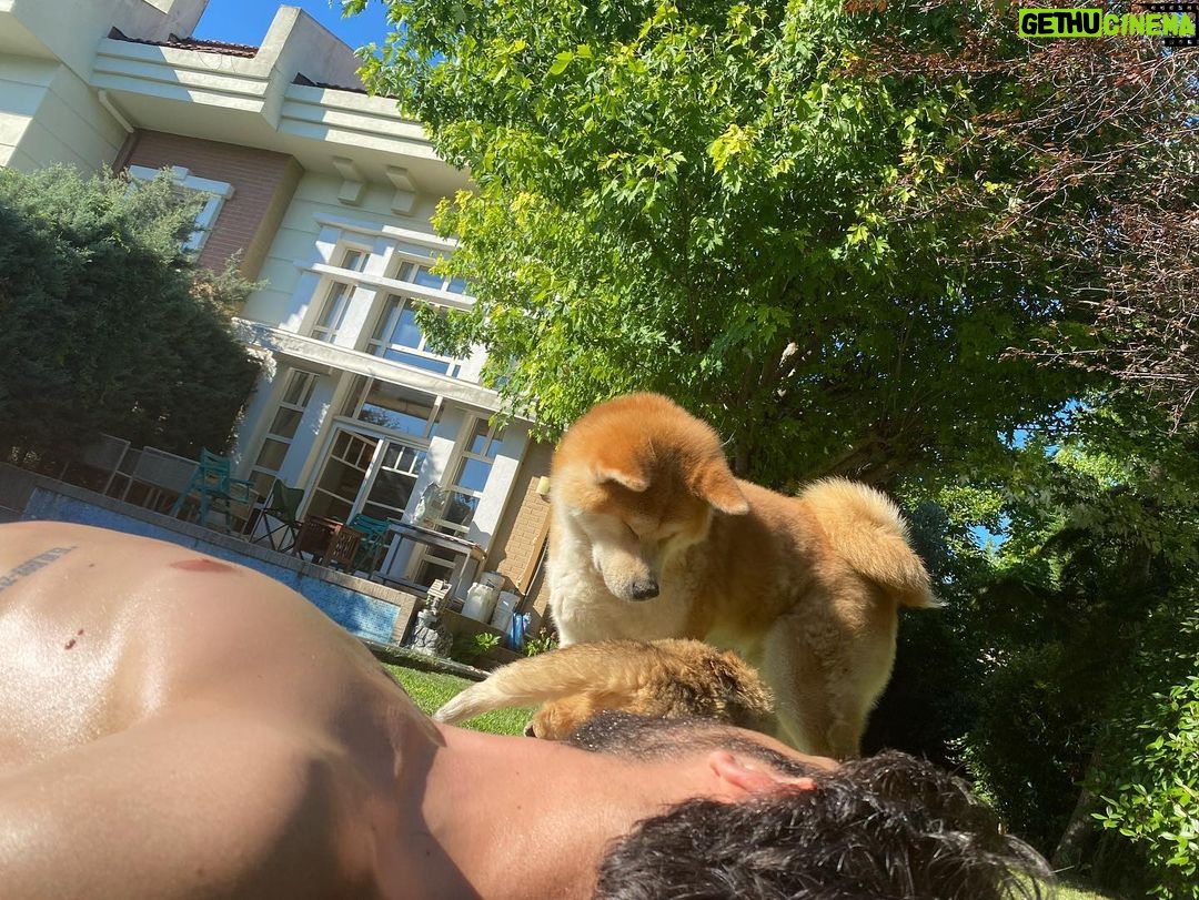 Kubilay Aka Instagram - Çok yaklaşınca güvenliği çağırdı…❤️👮🏼♂️