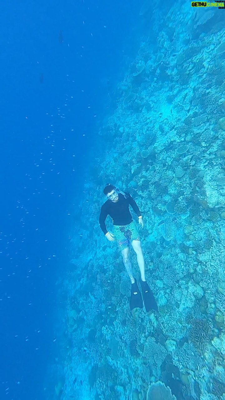 Kunal Khemu Instagram - I love the ocean and being in it 🤿 Good morning to you all and my turtle 🐢 friend 😊 #maldives #freediving #diving #ocean #turtles #oceanlife #deep Kandima Maldives