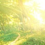 Kunal Khemu Instagram - Yaatri kripya dhyaan de. In teen dosto ke saath kya ghatne wala hai, yeh aapko dikhane ke liye gaadi platform athava cinema gharo Mae aane ke liye taiyaar hai.. Super excited and thrilled to announce the arrival of Madgaon express in cinemas on the 22nd of march 2024. @divyenndu @pratikgandhiofficial @avinashtiwary15 @norafatehi @upendralimaye @chhaya.kadam.75 @kunalkemmu @ritesh_sid @faroutakhtar @roo_cha @kassimjagmagia @vishalrr #Olly @adilafsarz @imanojchouhan @excelmovies @zeemusiccompany @aafilms.official