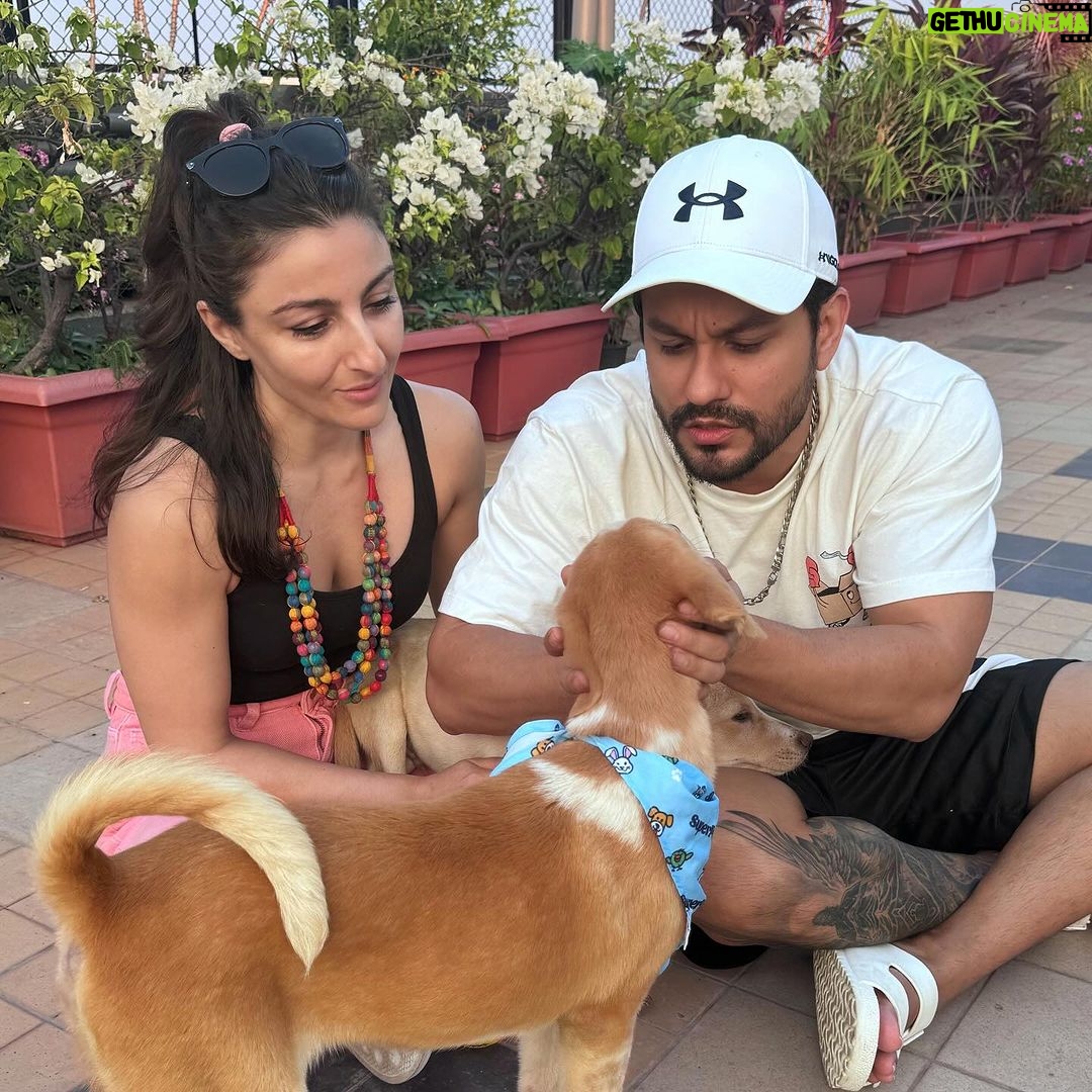 Kunal Khemu Instagram - Saving one dog may not change the world, but the world will change for that one dog #adoptdontshop #adoptathon @worldforallanimaladoptions #comingsoon
