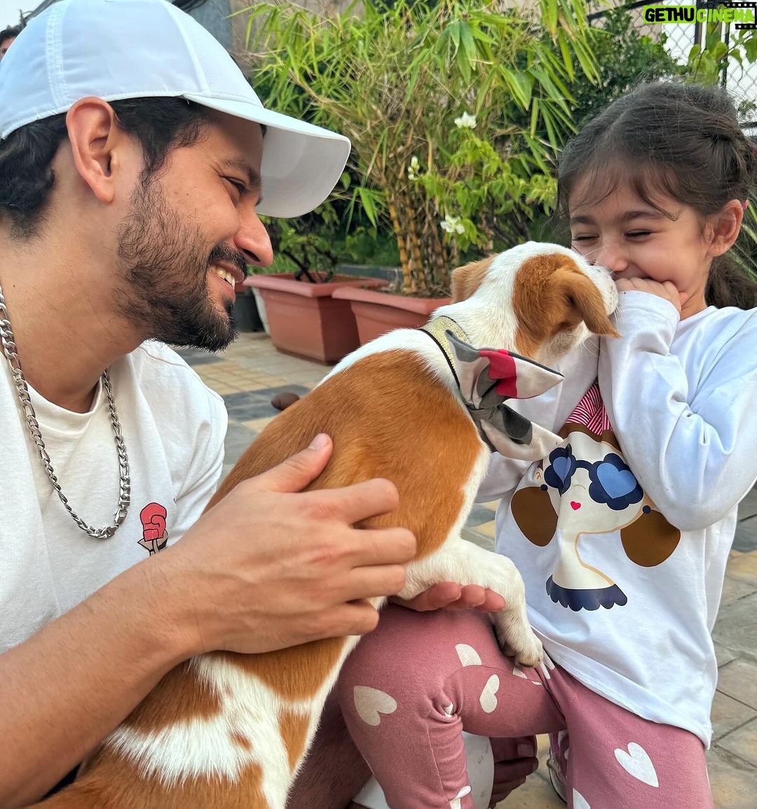 Kunal Khemu Instagram - Saving one dog may not change the world, but the world will change for that one dog #adoptdontshop #adoptathon @worldforallanimaladoptions #comingsoon