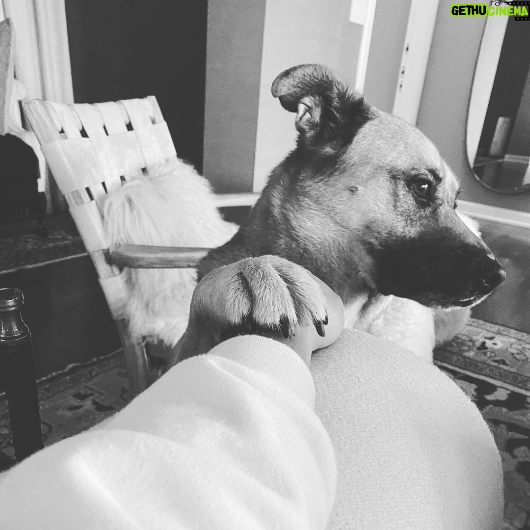 Kunal Nayyar Instagram - I wanna hold your hand... love. #bobafett