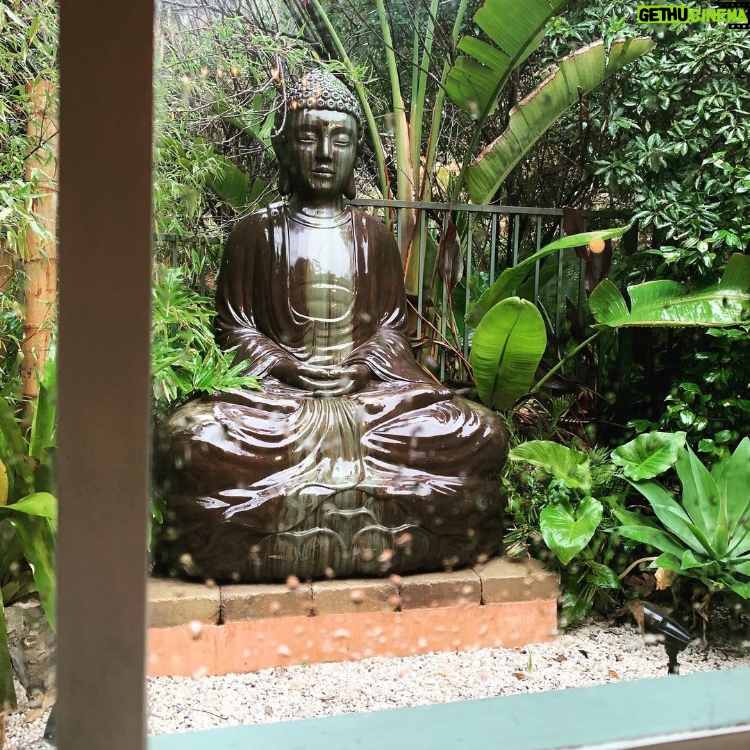 Kunal Nayyar Instagram - My favorite view from the house. A beautiful day to Surrender to what is:)