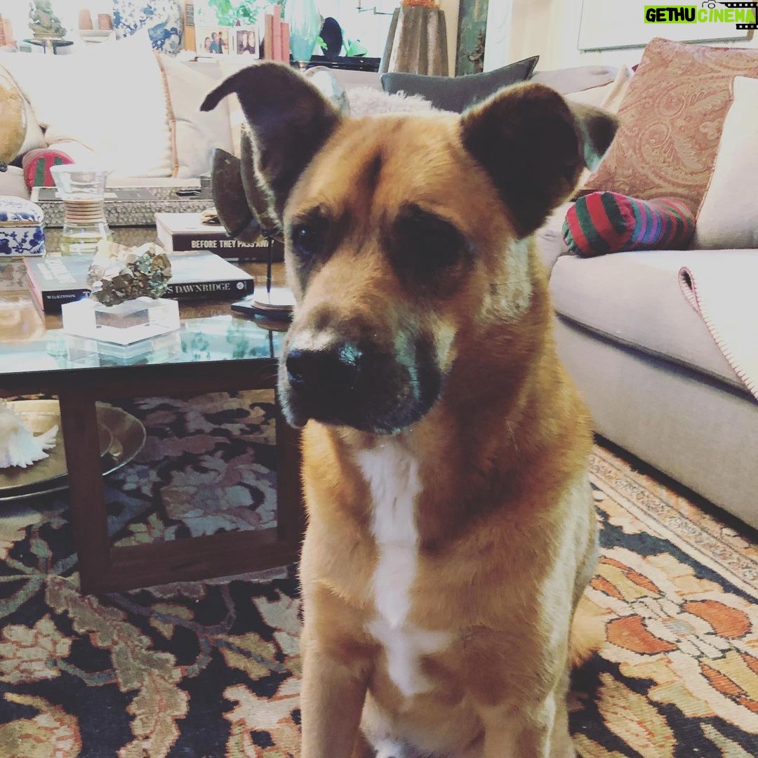 Kunal Nayyar Instagram - Real life teddy bear. #bobafett