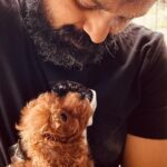 Kunchacko Boban Instagram - Welcome Home beautiful 😍 🐶🐶🐶🐶🐶🐶🐶🐶🐶 @mayank_kennel1