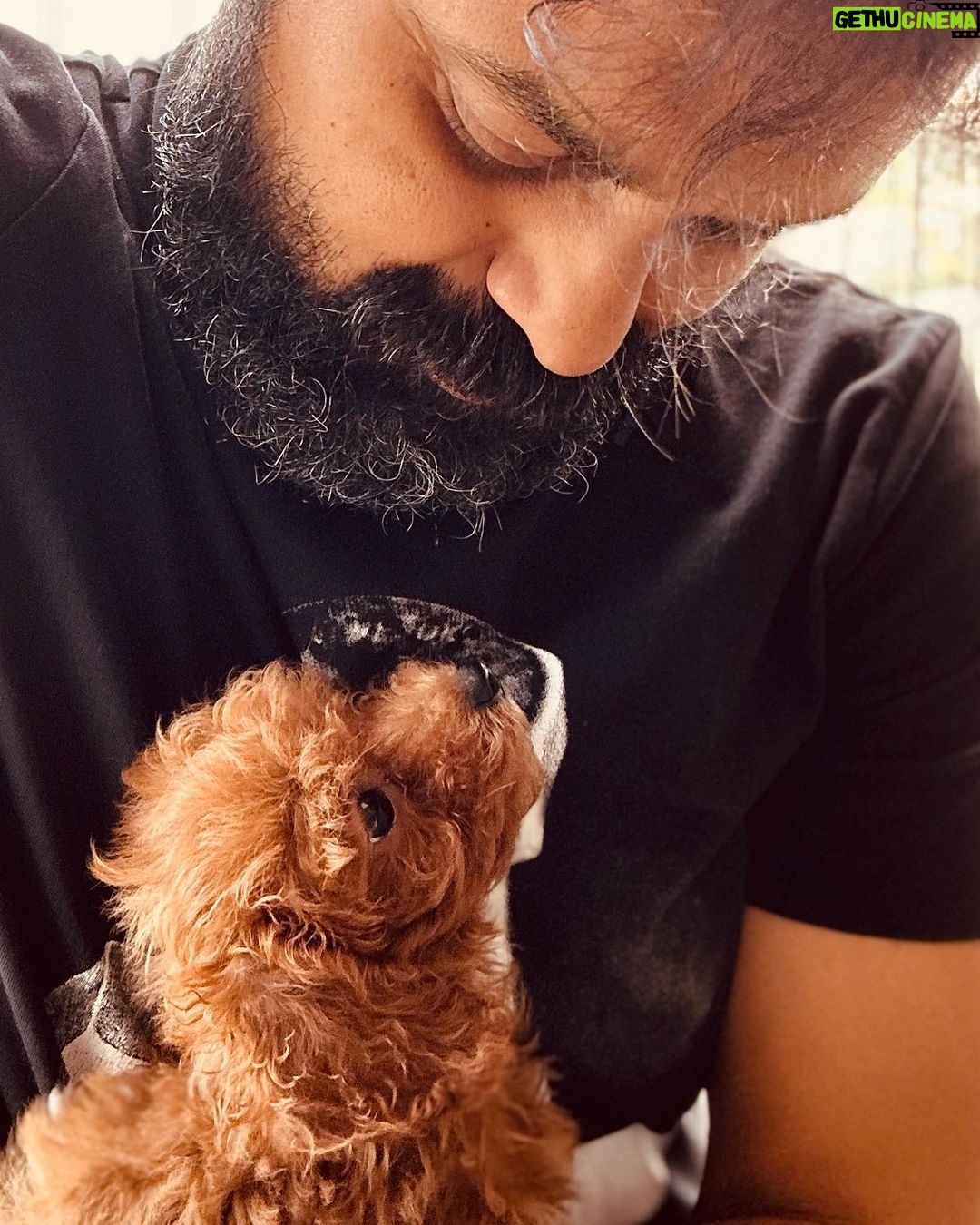 Kunchacko Boban Instagram - Welcome Home beautiful π πΆπΆπΆπΆπΆπΆπΆπΆπΆ @mayank_kennel1