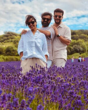 Kunchacko Boban Instagram - It’s Lavender time……..🪻🪻🪻🪻
#kentlavenderfields @rameshpisharody @manju.warrier @bineeshchandra