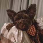 Kurban Omarov Instagram - Такие уютные❤️ Устроил им небольшую фотосессию перед сном.
