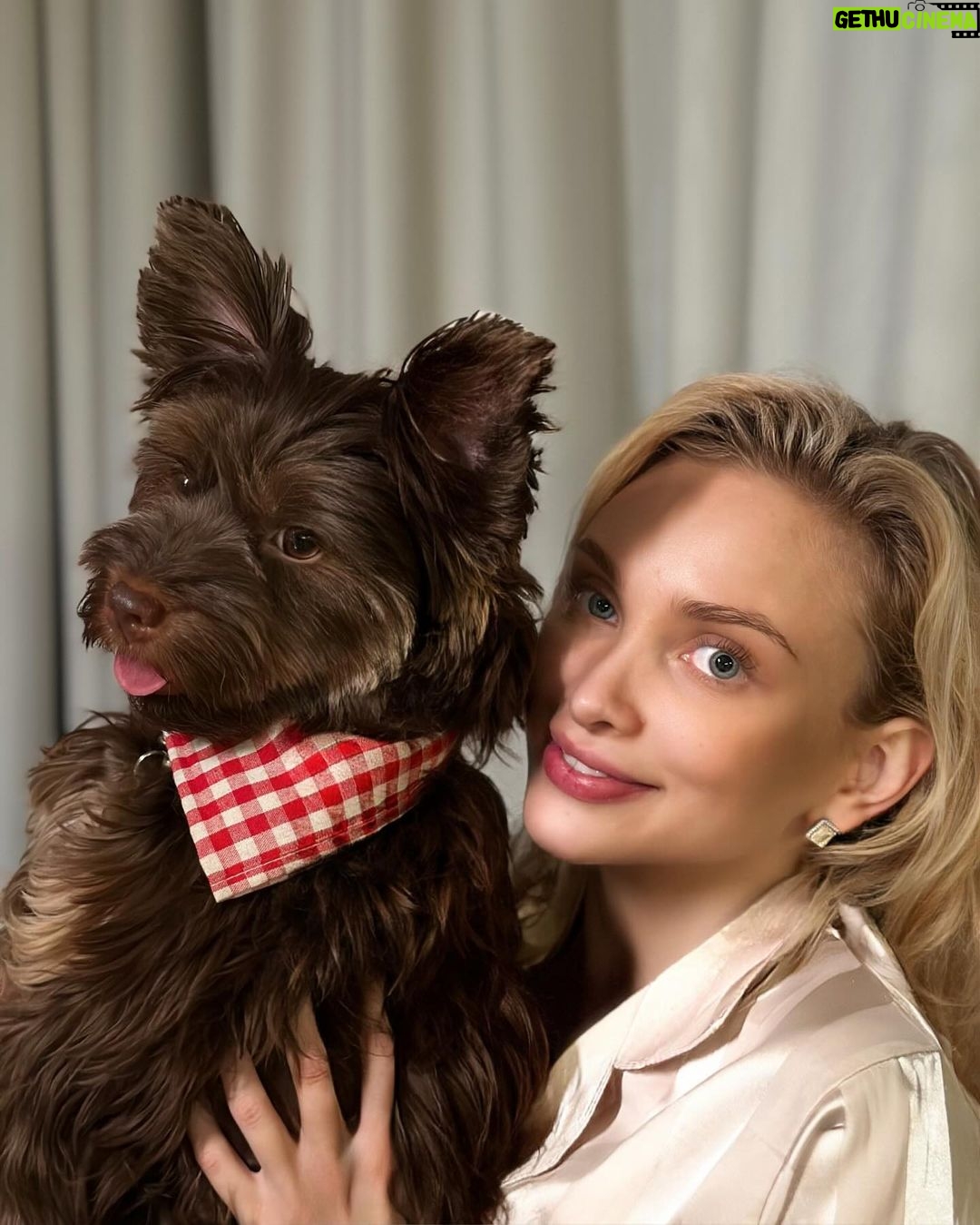 Kurban Omarov Instagram - Такие уютные❤️ Устроил им небольшую фотосессию перед сном.