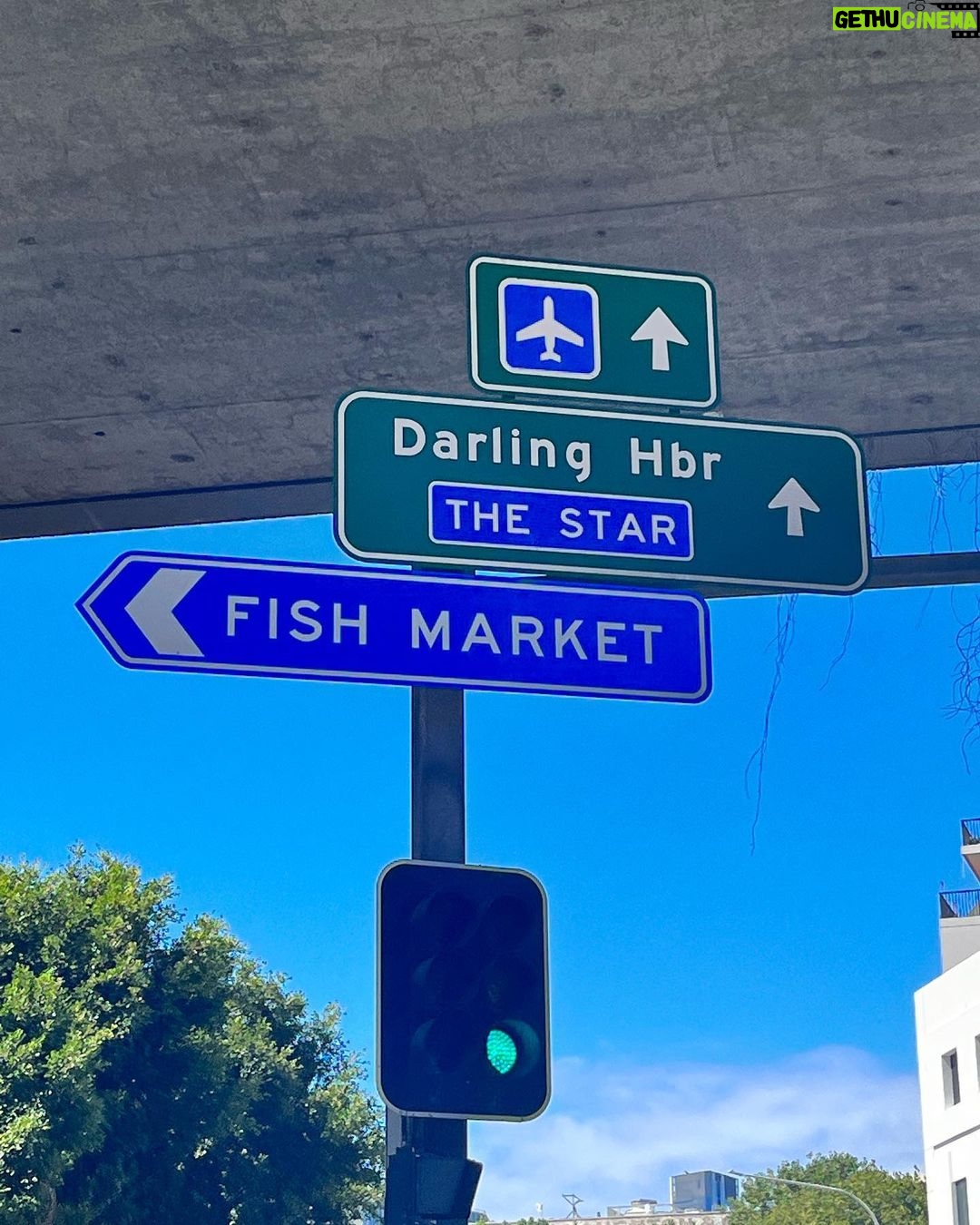 Kwon Yu-ri Instagram - 노량진수산시장🐟🐠🍤 Fish Market Sydney