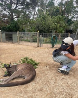 Kwon Yu-ri Instagram - 🐨🦒🐅🐬🦓🐆🦙🦣🦧🦍🦜🦦🦥