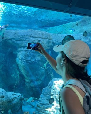 Kwon Yu-ri Instagram - 🐨🦒🐅🐬🦓🐆🦙🦣🦧🦍🦜🦦🦥