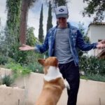 Kyle Hanagami Instagram - Quarantine Day 4. Sorry, I had to one up you @derekhough @sir_twitch_alot. #tiktok #dance #corgi #yesthatsasnowman Los Angeles, California