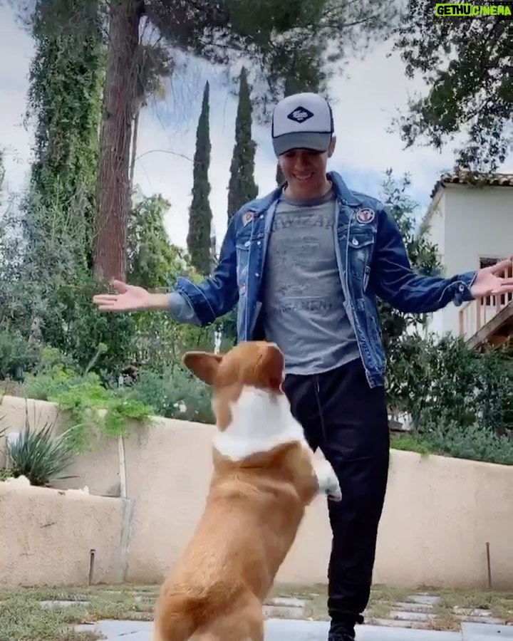 Kyle Hanagami Instagram - Quarantine Day 4. Sorry, I had to one up you @derekhough @sir_twitch_alot. #tiktok #dance #corgi #yesthatsasnowman Los Angeles, California