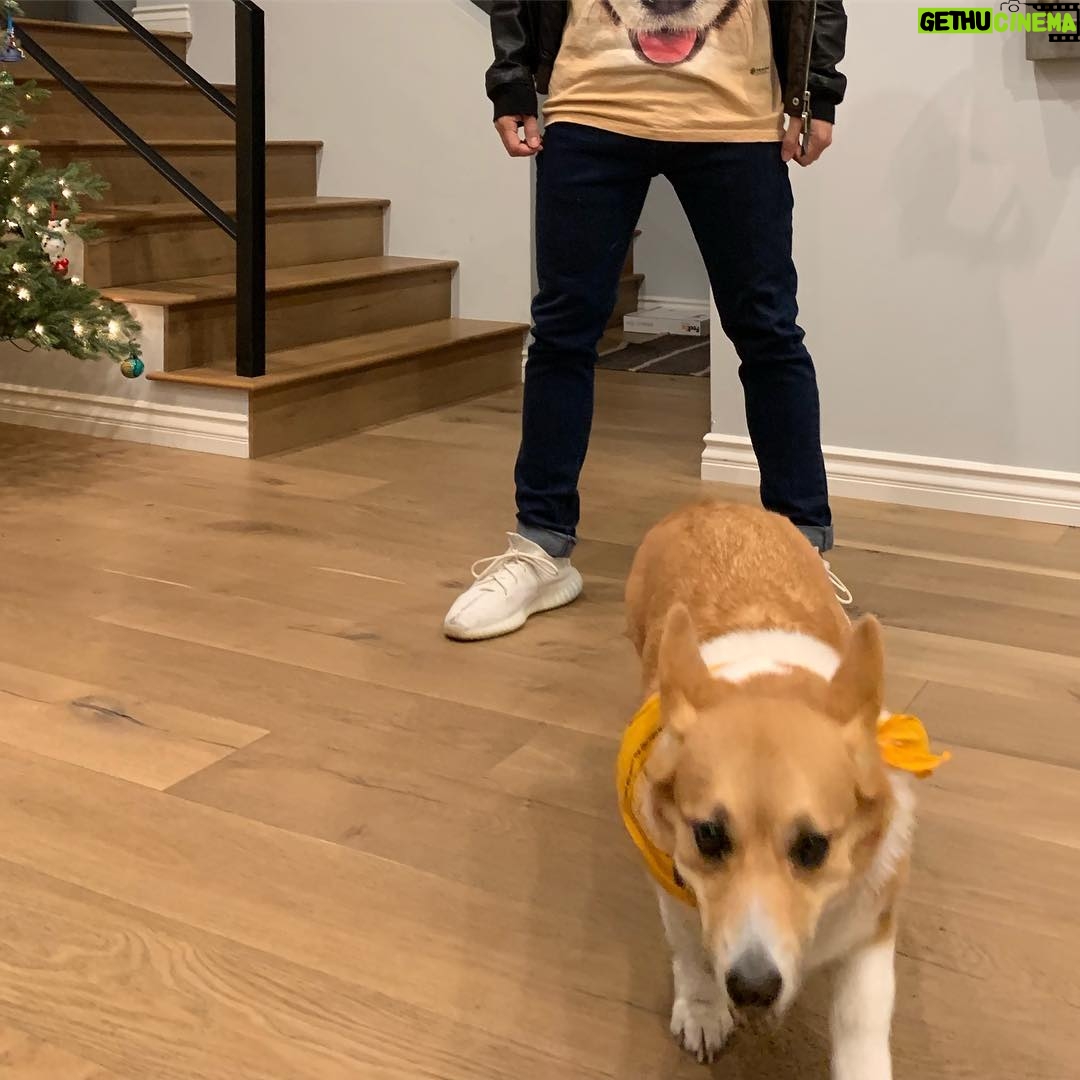 Kyle Hanagami Instagram - There’s a lot going on here. Does anyone else have their Christmas tree still up in February? Los Angeles, California