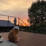 Kyle Hanagami Instagram - He was more than just a dog. He saw me grow up. He loved me when I was broke and living with two roommates and he loved me just as much when I bought a house with a backyard just for him. He loved me when I was broken-hearted and he loved me when I fell in love. He loved me when I booked my first big job and he loved me the same when I had no idea what I was doing. He loved me when I was gone for work and he loved me when I was at home laying on the floor with his chin resting on my chest. But when I was diagnosed with cancer, he loved me the most because I needed it and when he was diagnosed with the same, I loved him the most in return—the kind of love that grows even more now that he’s gone. He loved me regardless of my accomplishments or my failures. He didn’t care if I had nothing to do or a thousand things on my schedule. He lovingly demanded I was present with him at all times and for that, I am forever grateful. I miss him painfully. My dog. My love. My Cash.