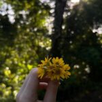 Kylie Padilla Instagram - I hope their souls feel the energy I am trying to send more than the sometimes imperfect example I may set at my most vulnerable moments, mostly I hope they understand at this young age that nature is the best healer of all. 🙏🏻🌻🪄✨
