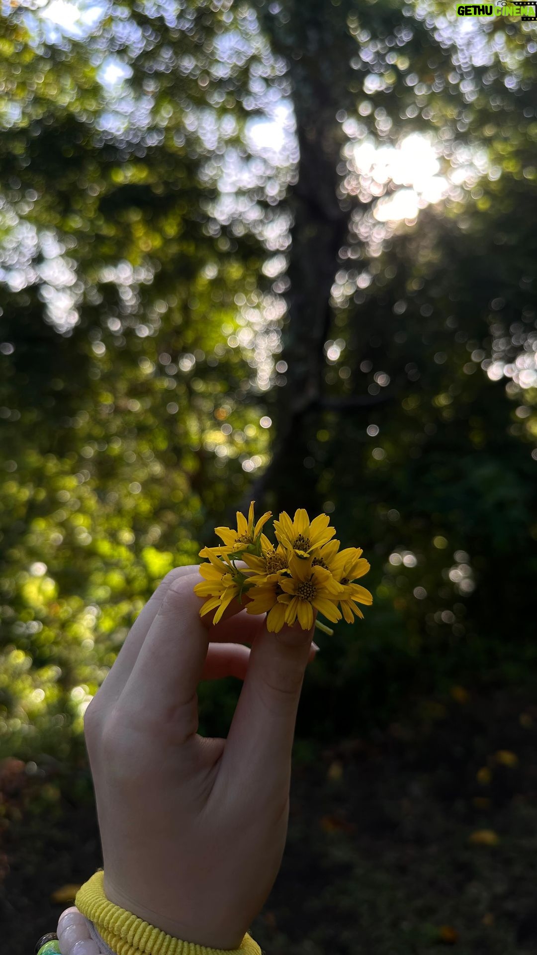 Kylie Padilla Instagram - I hope their souls feel the energy I am trying to send more than the sometimes imperfect example I may set at my most vulnerable moments, mostly I hope they understand at this young age that nature is the best healer of all. ππ»π»πͺβ¨