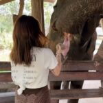 Kylie Padilla Instagram - I just want to be around elephants