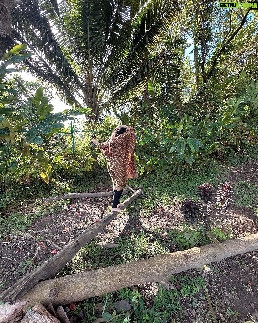 Kylie Padilla - 51.1K Likes - I surrendered to my destiny as a forest nymph.
@shantiphils