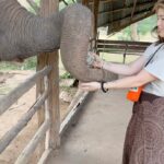 Kylie Padilla Instagram - I just want to be around elephants
