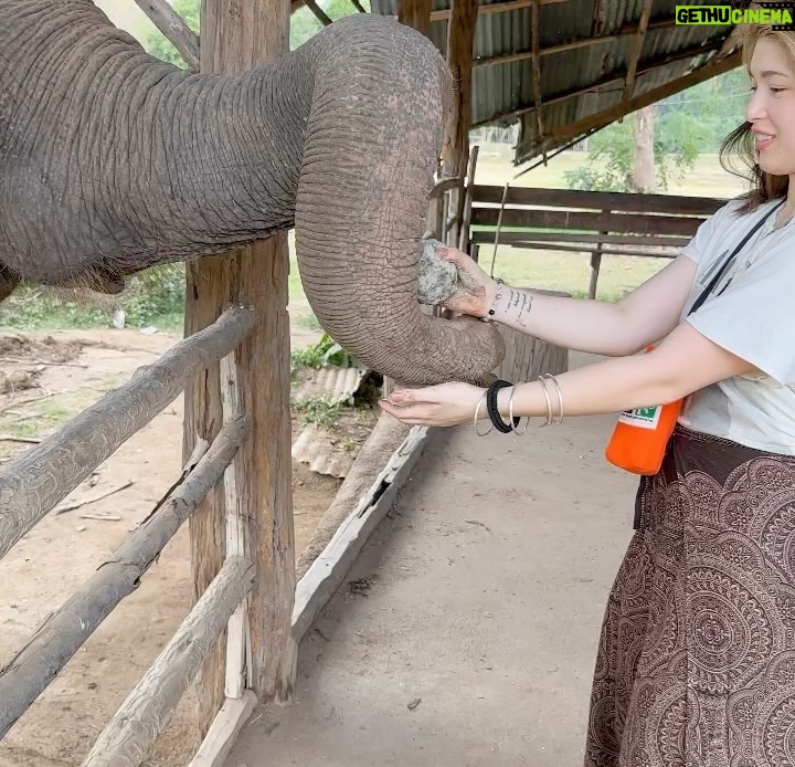 Kylie Padilla Instagram - I just want to be around elephants