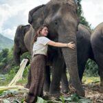Kylie Padilla Instagram - I just want to be around elephants