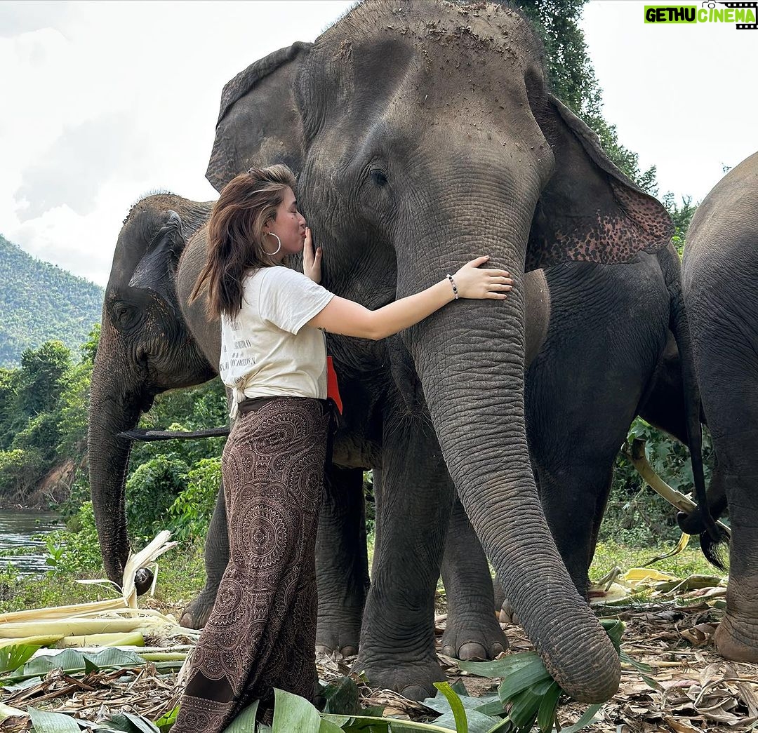Kylie Padilla Instagram - I just want to be around elephants