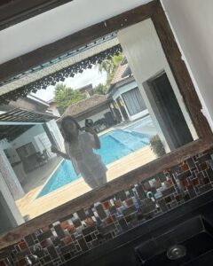 Kylie Padilla Instagram - @arabellavillas BALI VILLA is 😍