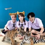 Kyutae Sim Instagram - ผมขอโทษกับเรื่องราวทุกอย่างที่เกิดครับและขอโทษที่ทำให้ทุกคนผิดหวังในตัวผม ยังมีหลายอย่างมากที่ผมต้องเรียนรู้และแก้ไข ผมยอมรับว่าผมจัดการกับปัญหาได้ไม่ดีโดยเฉพาะเรื่องอารมณ์ วุติภาวะ และการตัดสินใจ จริงๆผมกลัวที่จะพูดอะไรเยอะเกินไปผมไม่อยากให้มันเกิดดราม่าเพราะมันเกิดกับตัวผมมาหลายครั้งแล้ว จากนี้ไปผมจะมีสติรอบคอบและจะระวังให้มากขึ้นเวลาทำงานรวมถึงการถ่ายคลิปกับแขกรับเชิญ บทเรียนครั้งนี้ทำให้ผมรู้สึกว่าผมยังเด็กอยู่มาก ผมต้องรอบคอบมากกว่านี้ ขอโทษทุกๆคนนะครับ ขอโทษทุกคนที่ผมพูดไปในคลิปยูทูปและทำให้ทุกคนเข้าใจมินามิซังผิด และผมเสียใจที่ออนคลิปชี้แจงไปแล้วทำให้หลายคนเข้าไปตำหนิมินามิซัง ผมได้ตัดสินใจลบคลิปนั้นไปแล้วครับ ขอโทษทุกคนจากใจจริงๆครับ ล่าสุดผมได้คุยและได้ขอโทษมินามิซังแล้วครับ