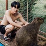 Kyutae Sim Instagram - I love Capybara❤️