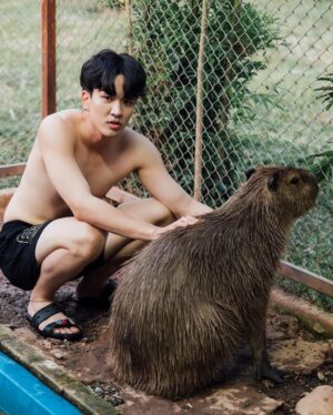 Kyutae Sim Instagram - I love Capybara❤️
