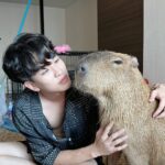 Kyutae Sim Instagram - My new friend😎 his name Prayut #capybara