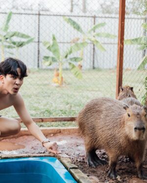 Kyutae Sim Instagram - I love Capybara❤️