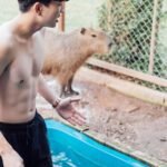Kyutae Sim Instagram - I love Capybara❤️