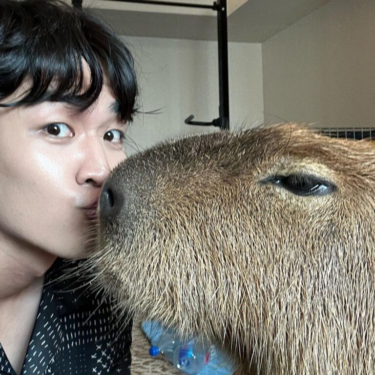 Kyutae Sim Instagram - My new friend😎 his name Prayut #capybara
