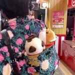 Kyutae Sim Instagram - I miss Japan Asakusa Temple Japan