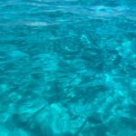 Léana Zaoui Instagram - Cervo 🐟