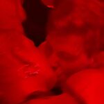 Léana Zaoui Instagram - Cannot