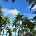 Léna Mahfouf Instagram - un petit bout de Polynésie Française 🇵🇫 ( je vous jure que c’est pas un fond vert ) publicité - invitation @tartecosmetics Bora-Bora, Polynésie Française