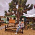 Lívia Andrade Instagram - Perdida no deserto , quem sabe me acho 🏜 #jeshuatree Joshua Tree/Mojave Desert