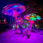 Lívia Andrade Instagram - Alice no país das maravilhas... 🍄 #aliceinwonderland #alice Tulum, México