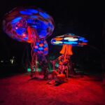 Lívia Andrade Instagram - Alice no país das maravilhas... 🍄 #aliceinwonderland #alice Tulum, México
