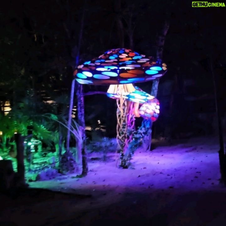 Lívia Andrade Instagram - Alice no país das maravilhas... 🍄 #aliceinwonderland #alice Tulum, México