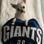 LOLiTO FDEZ Instagram - ¿Se puede tener una perrita mas bonita que @lucille.guau y un mejor equipo que @giantsgaming ? Mi respuesta es no. ❤️