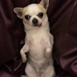 LOLiTO FDEZ Instagram - Mi niñita 😈
