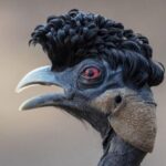 LP Instagram - This bird really got to me I guess ....🐦
